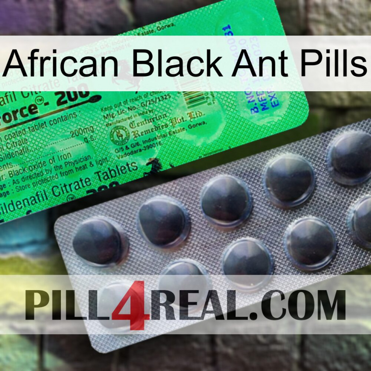 African Black Ant Pills new04